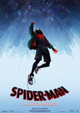 Spider-Man Poster