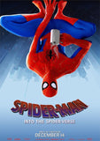 Spider-Man Poster