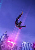 Spider-Man Poster